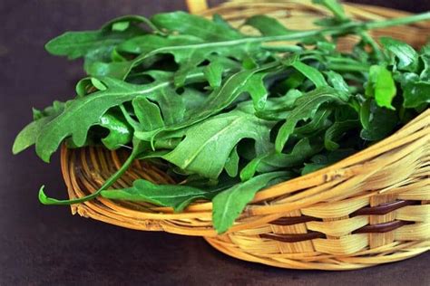 How To Harvest Arugula Things You Should Know