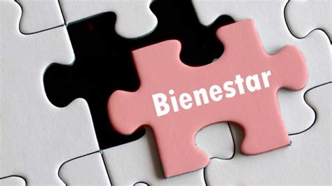 Qué es el Estado de Bienestar Blog de Bienestar