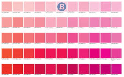 Tipos De Color Rosado Y Sus Nombres Infoupdate Org