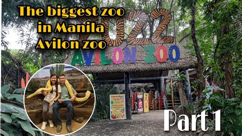 The Biggest Zoo In Philippines Avilon Zooldr Youtube