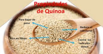 Quinoa Propiedades Beneficios Y Contraindicaciones Propiedades Y