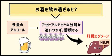 お酒の飲み過ぎで「肝臓が悪くなる」のなぜ？ アルコールと肝臓の関係を分かりやすく！（おがちゃん先生） エキスパート Yahooニュース