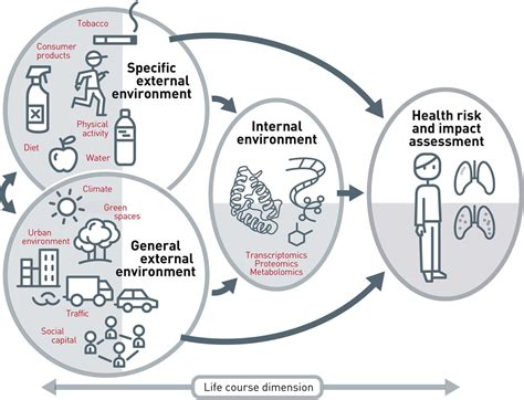 The Exposome A New Paradigm To Study The Impact Of Environment On