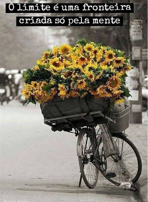 There Is A Bicycle With Flowers In The Basket