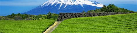 What to see and do in Fuji City - Attractions, tours, and activities ...