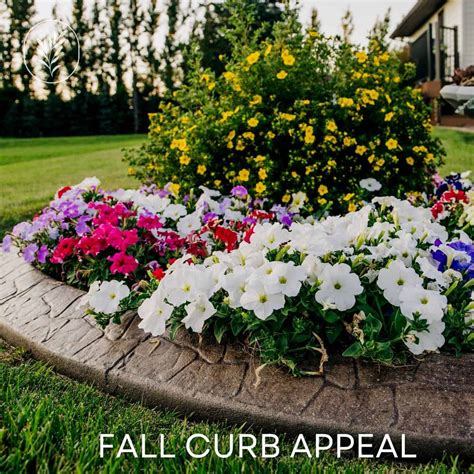 Fall Curb Appeal 🍂 🏡 Upgrade Your Home S First Impression This Season