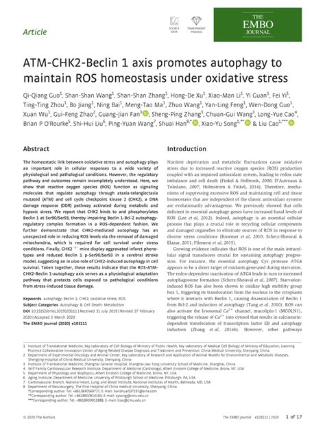 Pdf Atm Chk Beclin Axis Promotes Autophagy To Maintain Ros