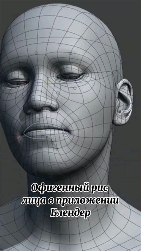 Приложение Блендер на ПК! | Face topology, Art tools drawing, Anatomy ...