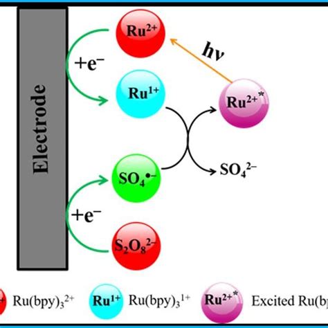 Schematic Illustration Of Reductive Oxidation Ecl Mechanism Involving