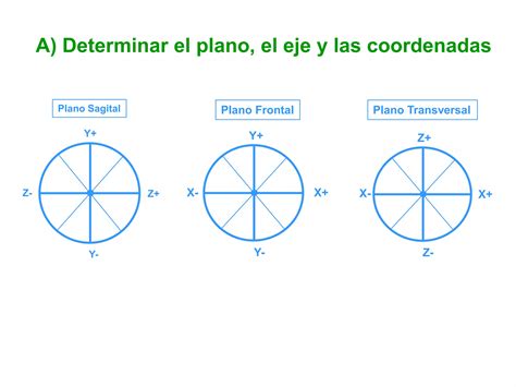 Planos Y Ejes De Movimiento Ppt Descarga Gratuita