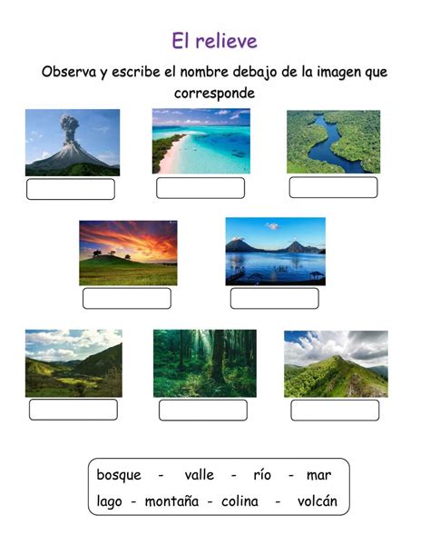 Ejercicio Online De Geografía Para Primero Primaria Puedes Hacer Los Ejercicios Online O