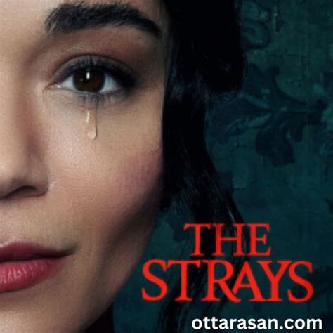 The Strays Movie Ott Release Date The Strays Ott Platform Name