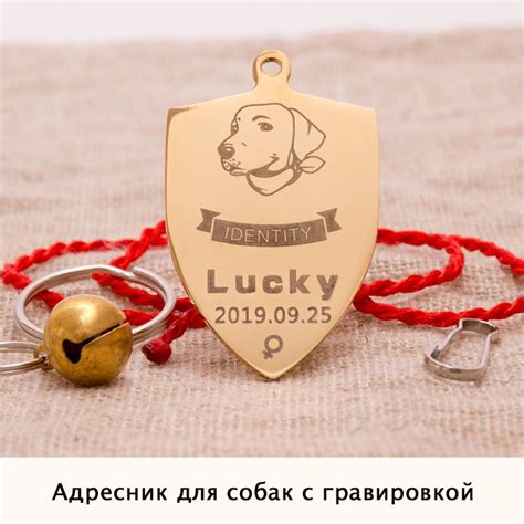 Адресник для собак с гравировкой в виде косточки на ошейник из ...