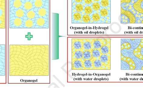 Schematic Representation Of Unconventional Bigels Obtained By Using