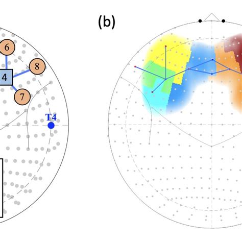 Fnirs Probe Configuration A Positioning Of Sources Detectors