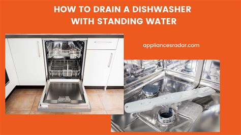 How To Drain A Dishwasher With Standing Water