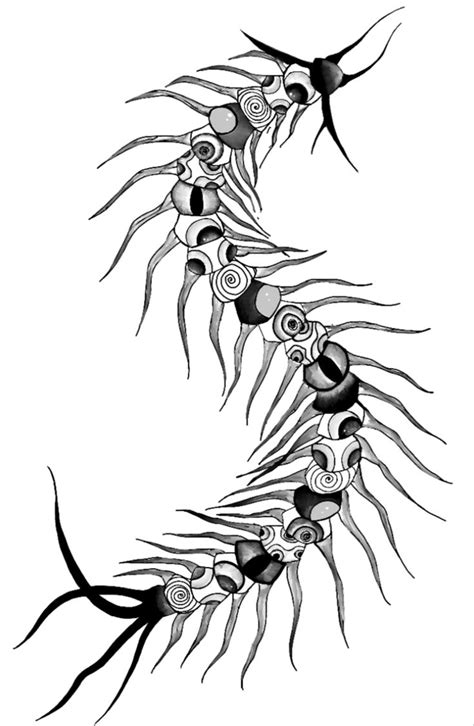 Eye Centipede Tattoo Drawing In Traditional Black Tattoo