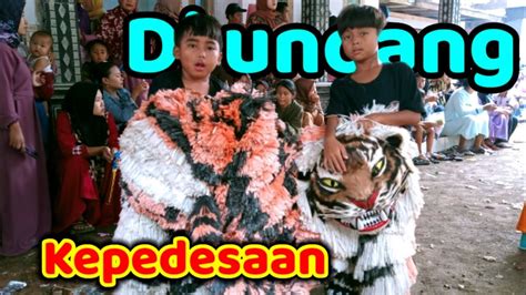 Can Macanan Singo Raung Cilik Di Undang Acara Khitan Di Pedesaan Youtube