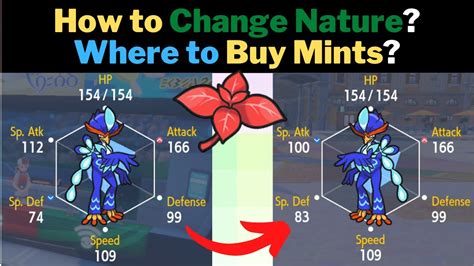 Where To Buy NATURE MINTS Pokemon Scarlet And Violet YouTube