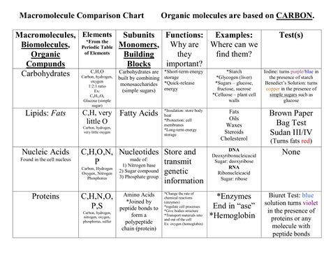 Biochemistry Macromolecules Chart A Visual Reference Of Charts Chart