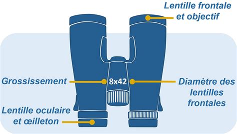 Choisir Jumelles Guide Et Comparatifs