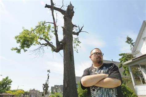 North Minneapolis tornado, a year later – Twin Cities