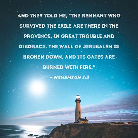 Nehemiah 1:3 And they told me, "The remnant who survived the exile are
