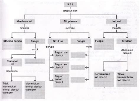 Peta Konsep Biologi Sel Soal Tentang Struktur Dan Fungsi Jaringan ...