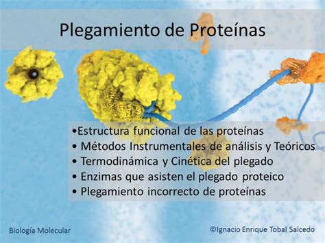 PDF Plegamiento de proteínas Diapositivas DOKUMEN TIPS