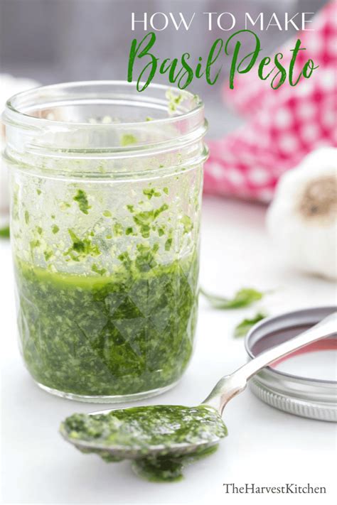 How To Make Basil Pesto The Harvest Kitchen