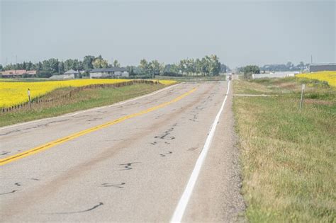 Fazenda de canola orgânica uma estrada passando por ela Foto Premium