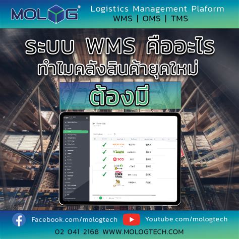 ระบบ WMS คออะไร ทำไมธรกจทมคลงสนคา ตองม MOLOG WMS