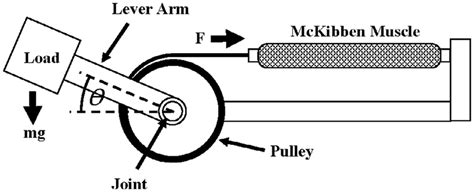 Schematic Diagram Of The Mechanical Structure Download Scientific