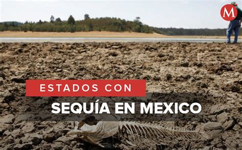 Cuáles son los estados con Sequía en México 2022 Grupo Milenio