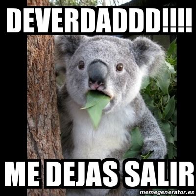 Meme Koala Deverdaddd ME Dejas Salir 20443903