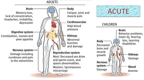 Heavy Metal Poisoning Symptoms And Causes