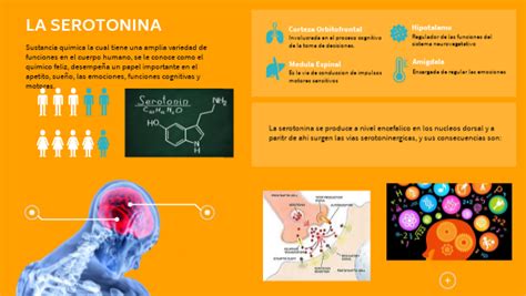 Serotonina