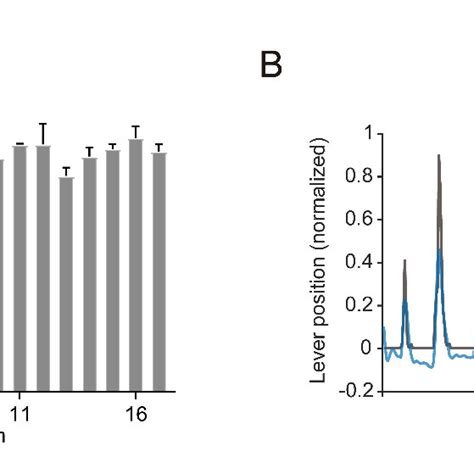 Continuous Neural Decoding Using Calcium Signals From The Layer 2 3