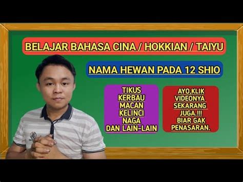 Belajar Bahasa Hokkien Taiyu Nama Hewan Dalam Shio Youtube