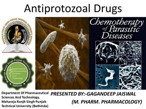 Protozoal Infections And Antiprotozoal Drugstherapy