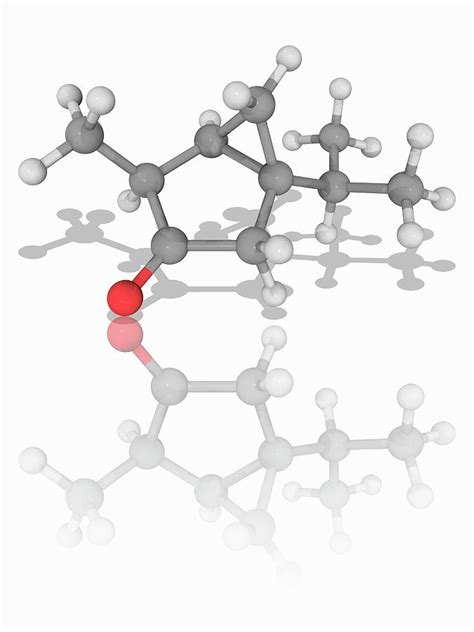 Thujone Organic Compound Molecule Photograph By Laguna Design Science