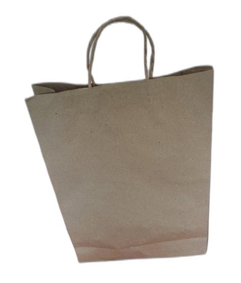 Brown Loop Handle Paper Carry Bag For Shopping Capacity Kg At Rs