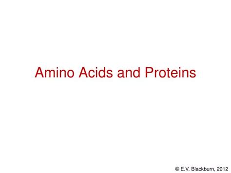 Ppt Amino Acids And Proteins Powerpoint Presentation Free Download