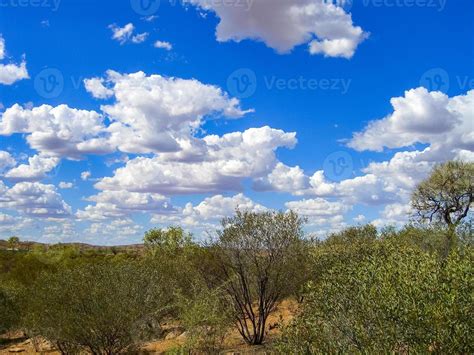 Australian Outback Landscape Bush Vegetation In Dry Season With Red