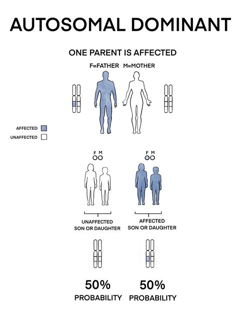 Genetic Basics And Inheritance Pattern Gene Vision