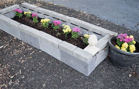 Cinder Block Raised Garden Bed