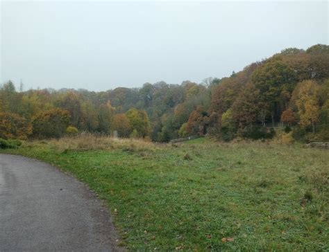 Woods Beside The River Derwent In Autumn Robert Graham Geograph