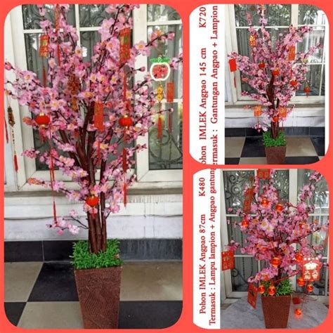 Jual Pohon Bunga Imlek Meihua Sincia Angpao Sakura Besar Tinggi Murah