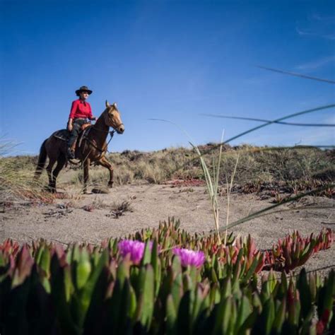 Beach Ride Five Brooks At Bodega Bay