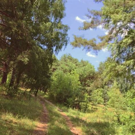 Dont Cum Inside Me Please Free A MILF Porn 38 XHamster XHamster